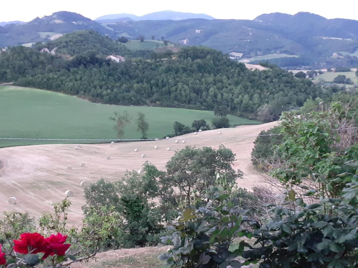 Ca' Gulino - Urbino - Villa Con Minipiscina In Borgo Antico Luaran gambar