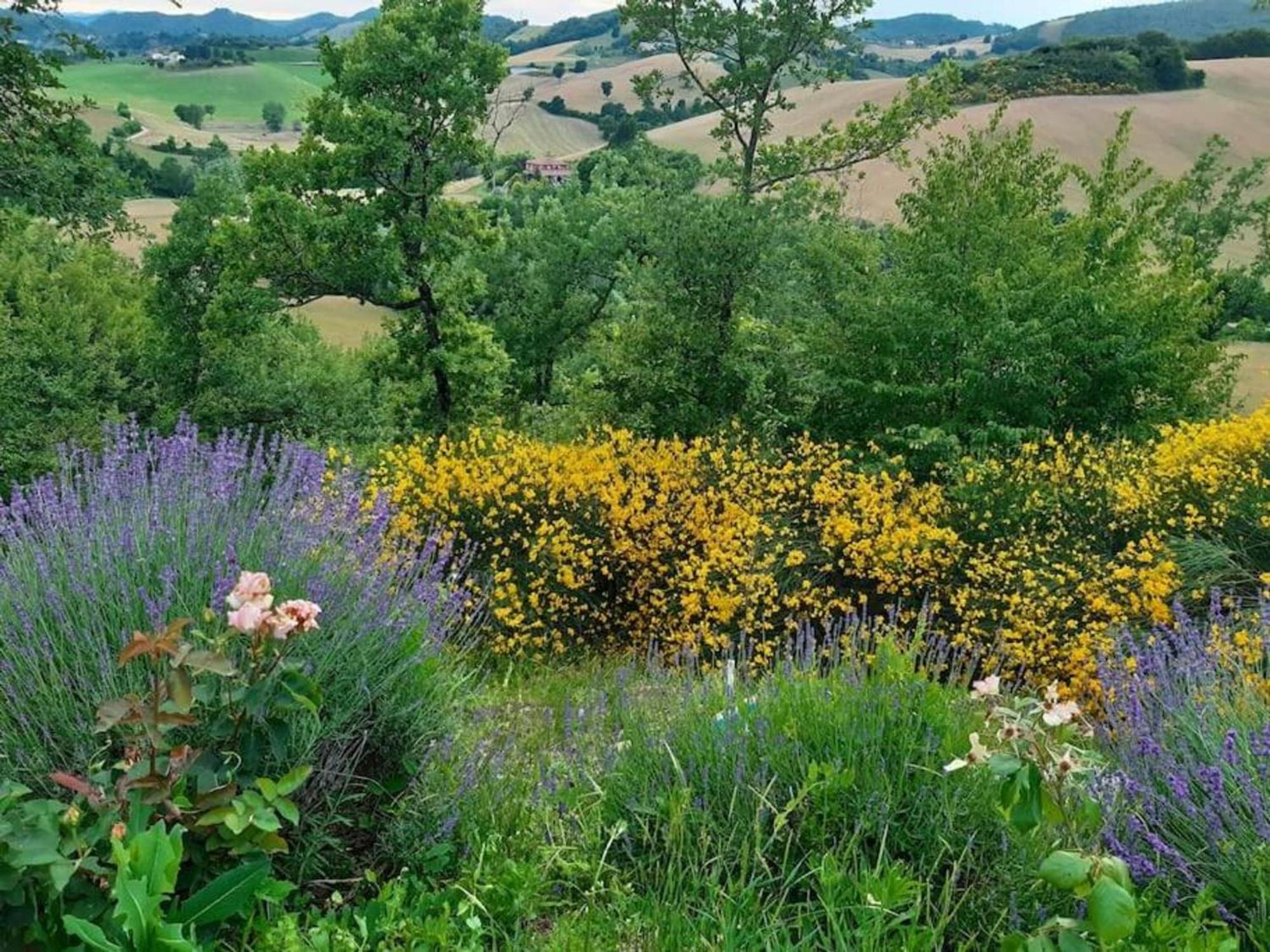 Ca' Gulino - Urbino - Villa Con Minipiscina In Borgo Antico Luaran gambar
