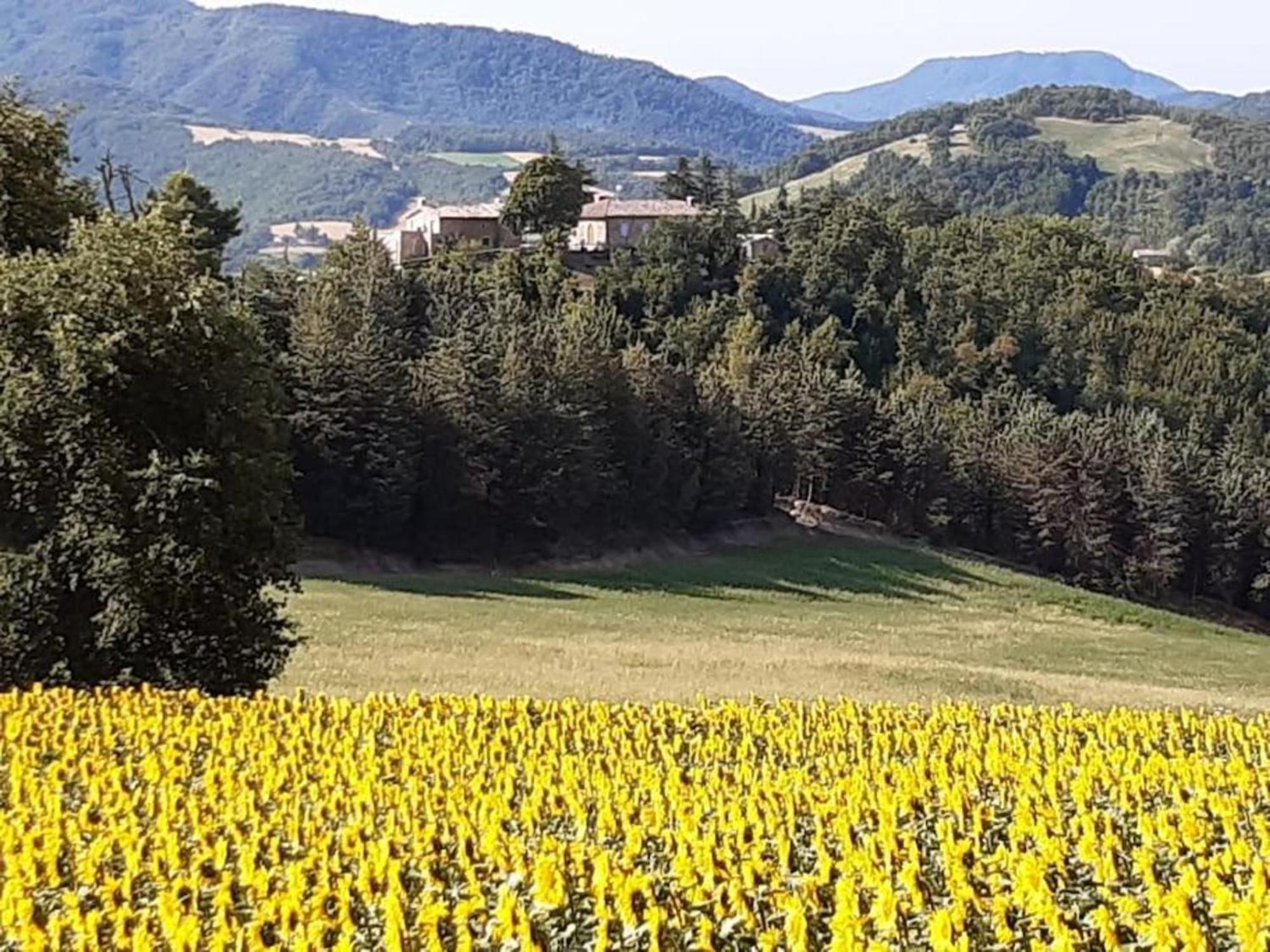 Ca' Gulino - Urbino - Villa Con Minipiscina In Borgo Antico Luaran gambar